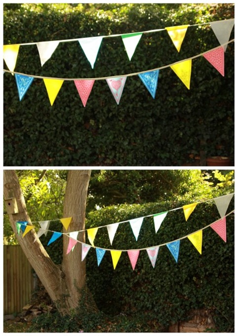 2011  Sept Bunting-1