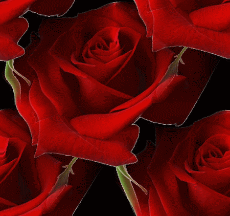0_8e0cb_b395af85_L%2520%25282%2529.gif