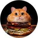 Image Google de Roxanne Rongeat