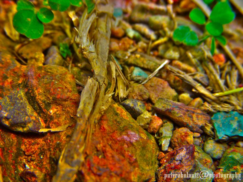 Wallpaper: day by day images WALLPAPER: DAY BY DAY IMAGES