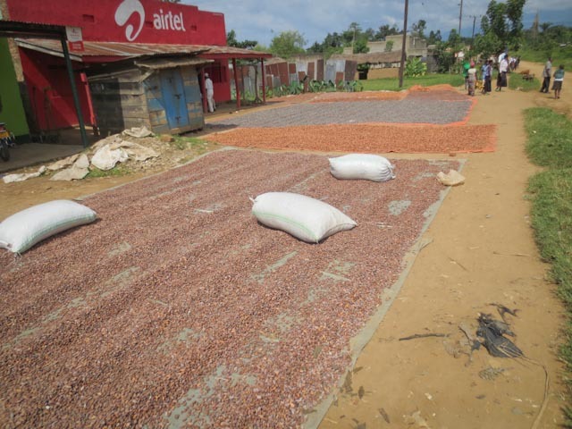 [IMG_0338%255B3%255D.jpg]