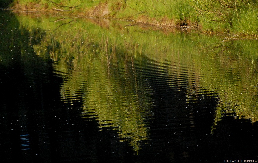 [DSC_9669%255B9%255D.jpg]