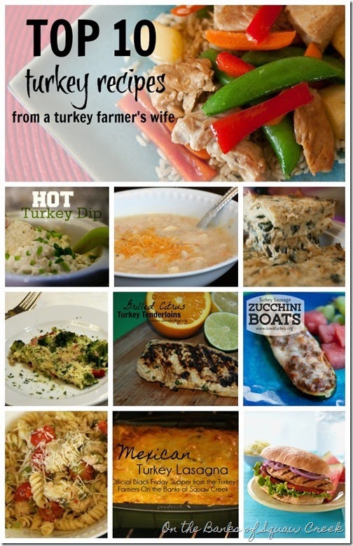top 10 turkey recipes