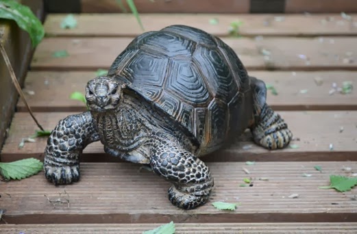 Pet tortoise garden statue