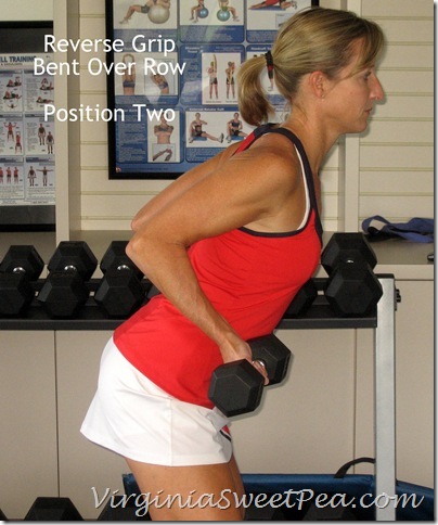 Reverse Grip Bent Over Row - Position 2