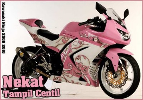 Pink-Kawasaki-Ninja-250r-custom-motorcycle