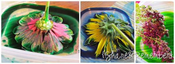 [Painting%2520with%2520flowers%2520paint%2520colors%255B2%255D.jpg]