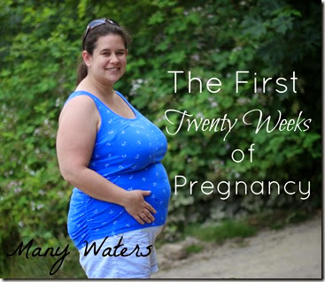 Many Waters The First Twenty Weeks of Pregnancy