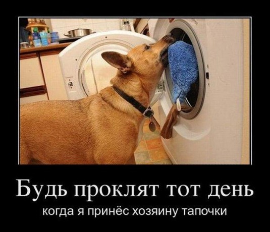 [demotivatory_8%255B2%255D.jpg]