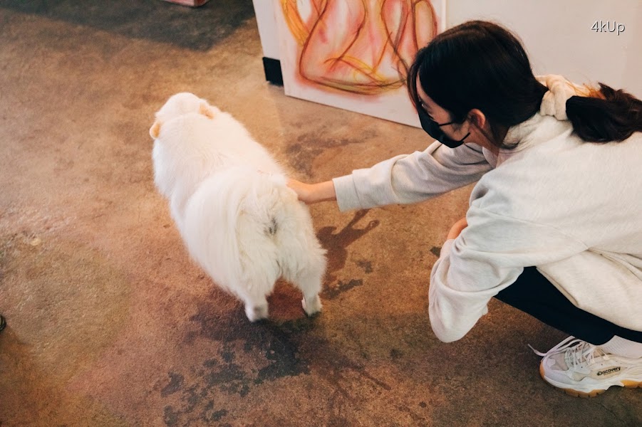 [Loozy] Sonson (손손) Yano Date
