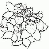 normal_11-coloriage_fruit.jpg