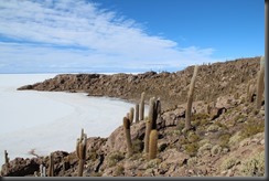 71. Uyuni island