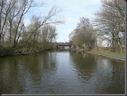 Titford Canal 031