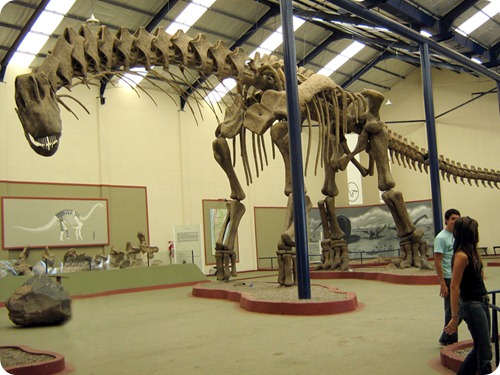 neuquen turismo_paleontologico