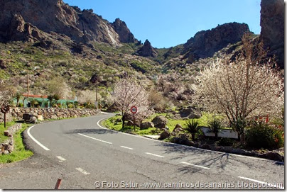 7439 La Goleta-La Candelilla(Ayacata) 7439 La Goleta-La Candelilla(Ayacata)
