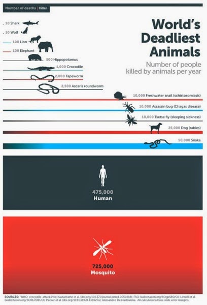 Mosquito Week Infographic