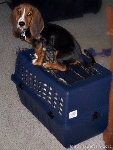 [snoopy-impression3.jpg]