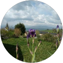 Image Google de Y LC