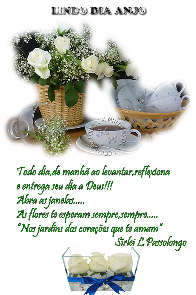 floresnocora%25C3%25A7%25C3%25A3o2.png