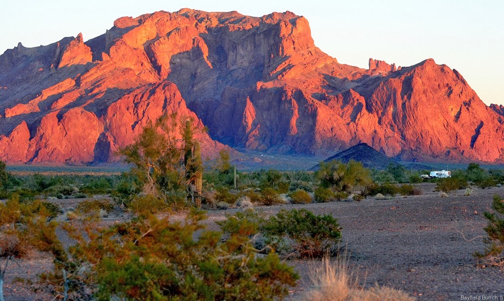 [DSC_0036%255B9%255D.jpg]