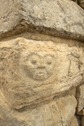 IMG_4595 IMG_4595