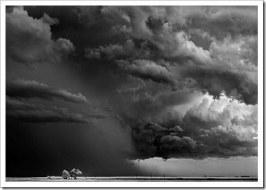 Mitch-Dobrowner_Trees-Cloudspicture15