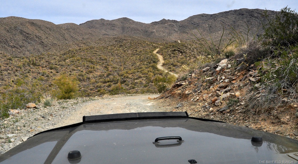 [DSC_0020%255B3%255D.jpg]