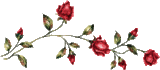 web divider red roses[4]