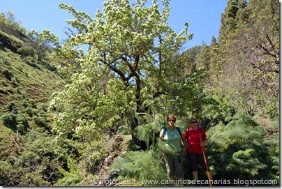 5604 Barranco de Crespo 5604 Barranco de Crespo