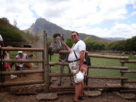 18. Mangaind o zebra.JPG