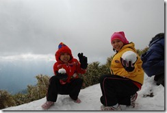 2013-01-27 合歡山-雪之旅 308