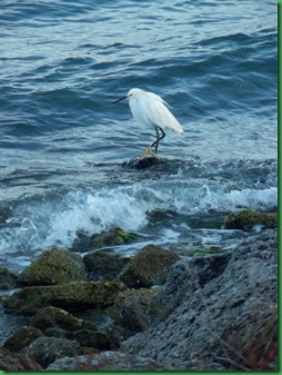 Sunrise at Sebastian Inlet (60)