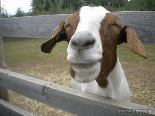 [scr0062%255B2%255D.jpg]