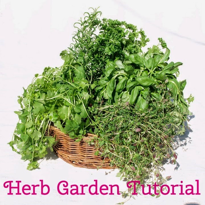 [Herb-Garden-Tutorial6.jpg]