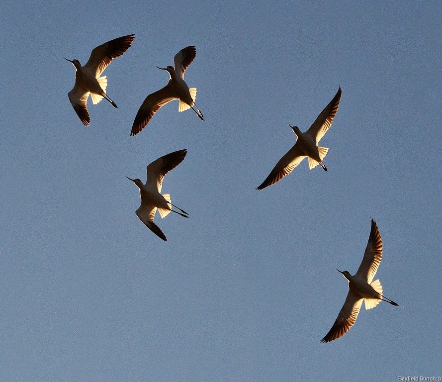 [DSC_0001%255B5%255D.jpg]