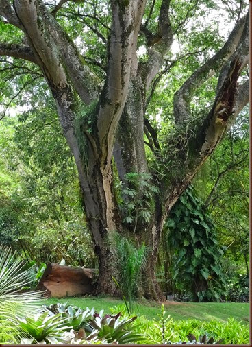 Inhotim - museu a céu aberto - Brumadinho/MG - Brasil