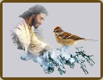 jesus-sparrow