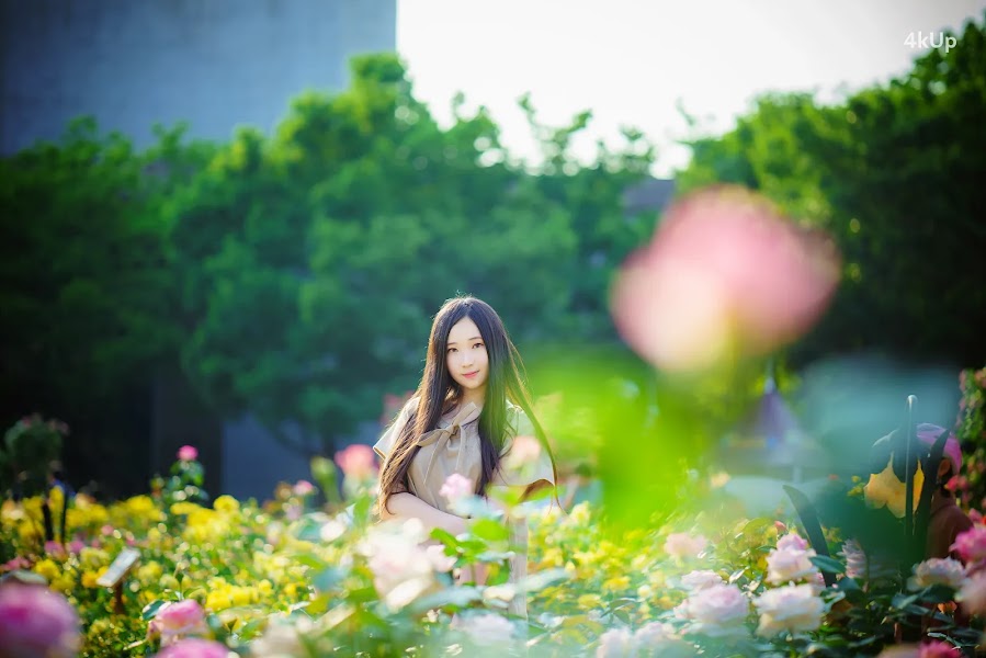 Bambi (밤비) Lacerta Photography