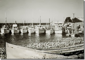 642-Tuna-boats-at-Huskisson-Wharf-rs