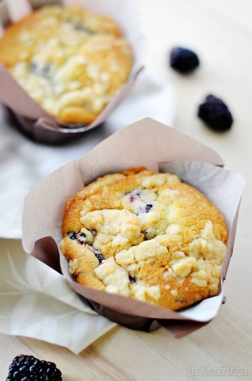 [blackberry-muffin-65.jpg]