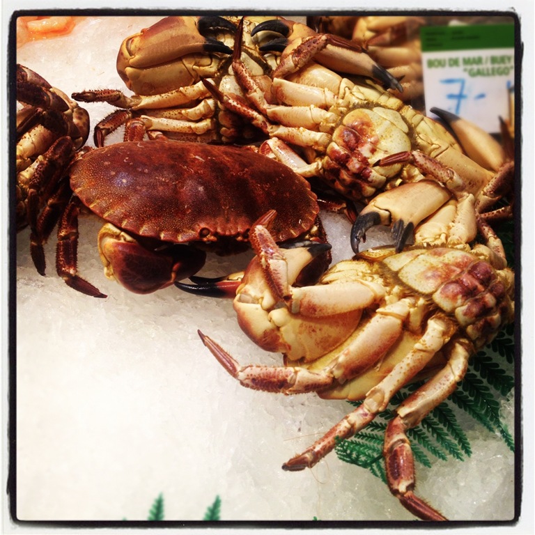 [crabs4.jpg]