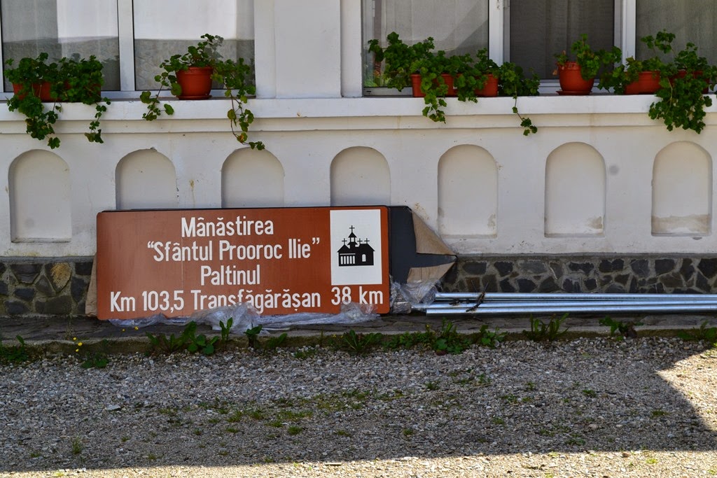 [DSC_95523.jpg]