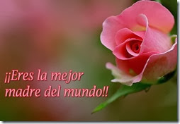 dia de la madre (7)