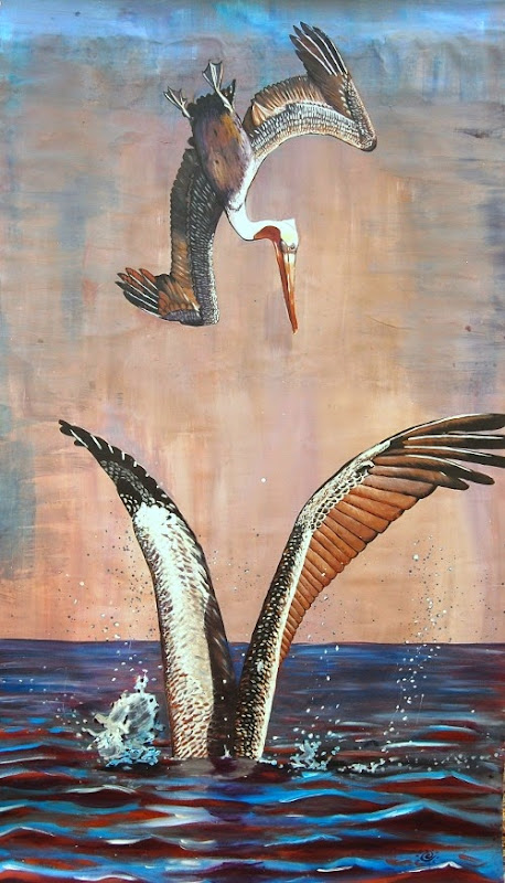 anastasiya bachmanova pelican dive