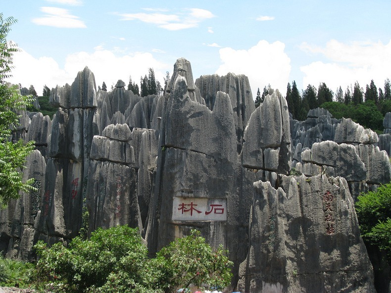 shilin-stone-forest-11