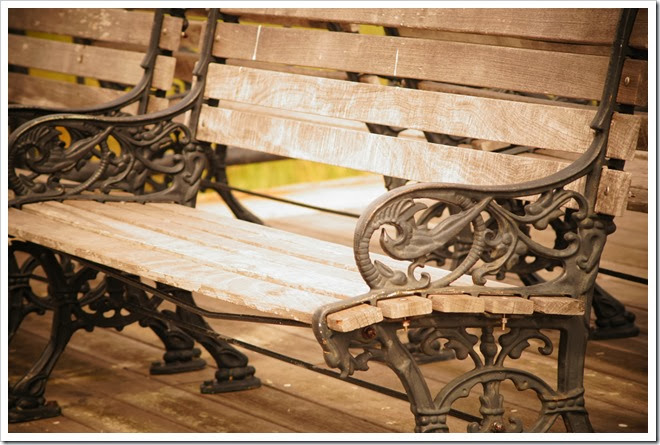 copyright-free-pictures-benches-1 (498)