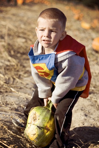 Pumpkin Patch 2