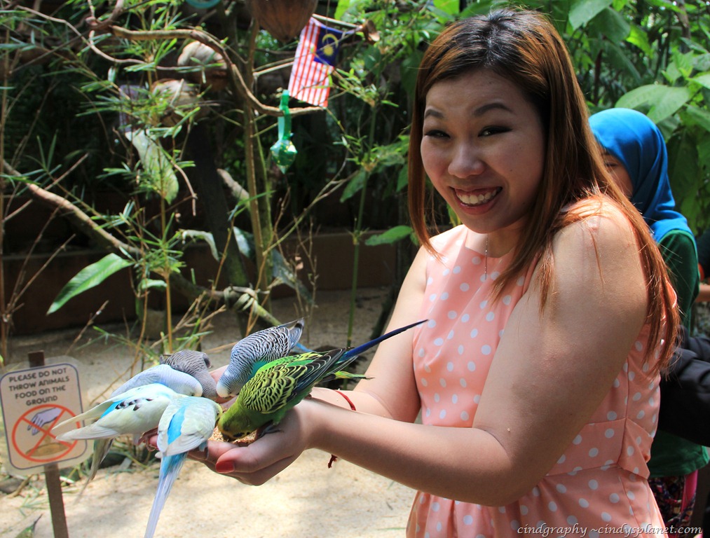 [Langkawi125%255B3%255D.jpg.webp]