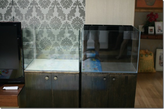 Gallery4273_19
