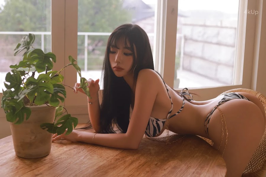 Dongeuran (동그란) ZEBRA